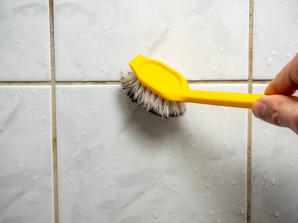 Best Preventive Mold Services in Georgetown, SC