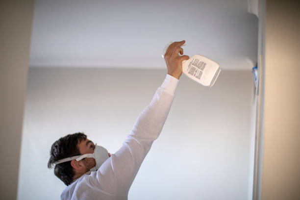 Best Post-Flood Mold Remediation in Georgetown, SC