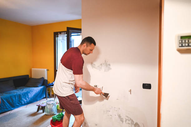 Best Residential Mold Remediation in Georgetown, SC