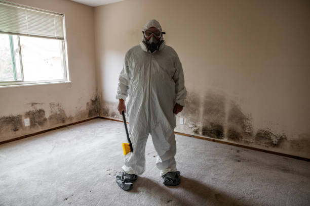Trusted Georgetown, SC Mold Remediation Experts